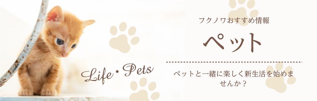 ペット関連